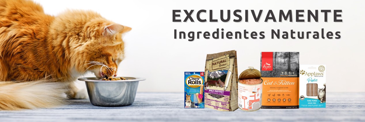 Comida natural para gatos con ingredientes naturales
